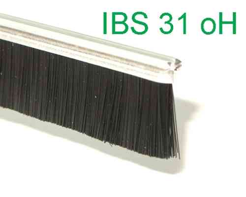IBS31 oH = PP-Bürstendichtung 1 m, Höhe 17 mm
