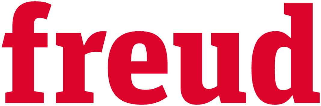 Freud Nutfräser Typ C, D15_h31,8_A8_H68,2 HW bestückt Z2